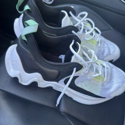 Giannis basketball Shoes