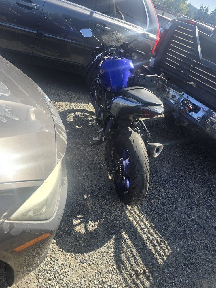 2017 Yahama R3