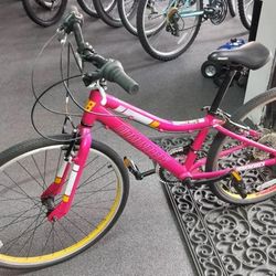 Diamond Back Mountain Bike 24 inch