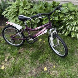Novara pixie kids bike $30
