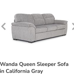 Sleeper Sofa (Best Offer)