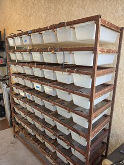 FB rat maternity rack