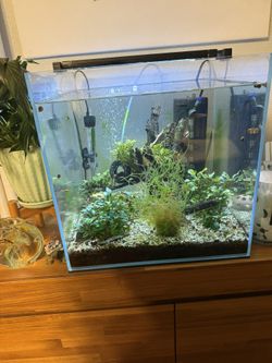 UNS Ultra Clear tank 