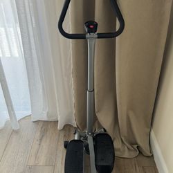 Stepper Exercises Sunny 