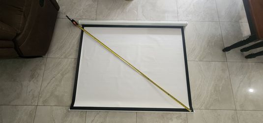Retractable protector screen