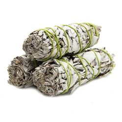 Local Sage Bundle. $5 For 3