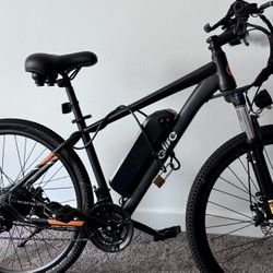 Qlife E-bike 