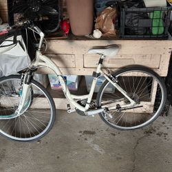 Smooth Ride Bike For You and A Pet