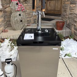 Upgraded Dual Tap Kegerator