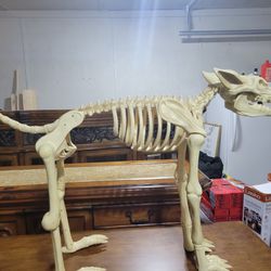 Howling Skeleton Dog
