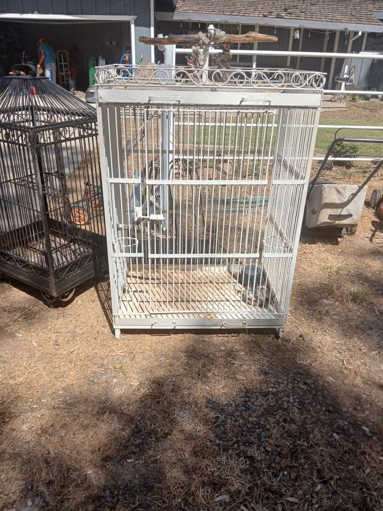 Wrought Iron Bird Cages
