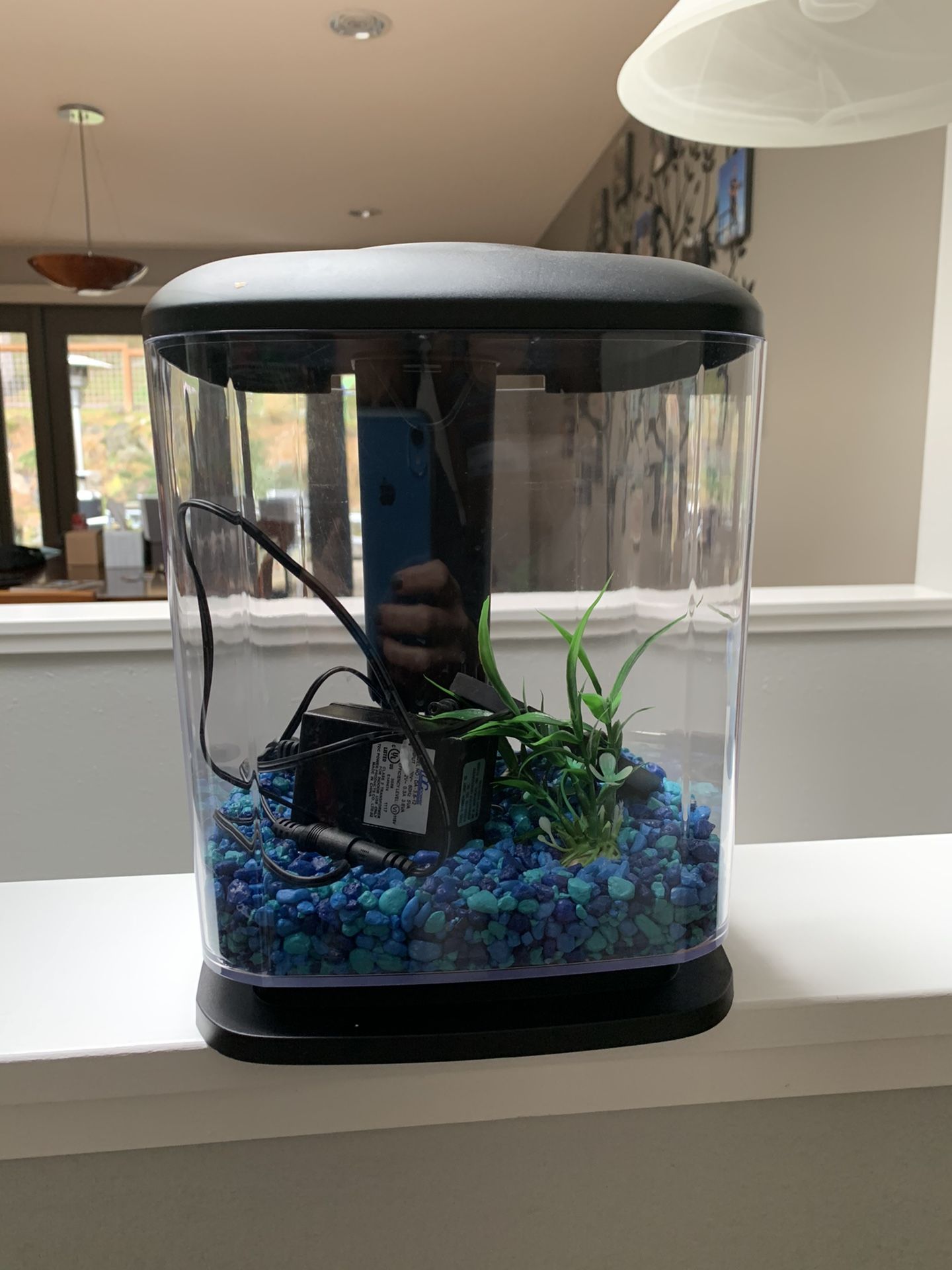 Beta Fish Tank