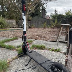 Electric Scooter 