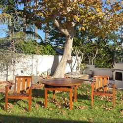 Mid Century Patio Set + Pottery Barn Cushions 