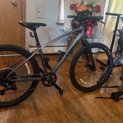 Bike Trek Y Bike Rack Saris 