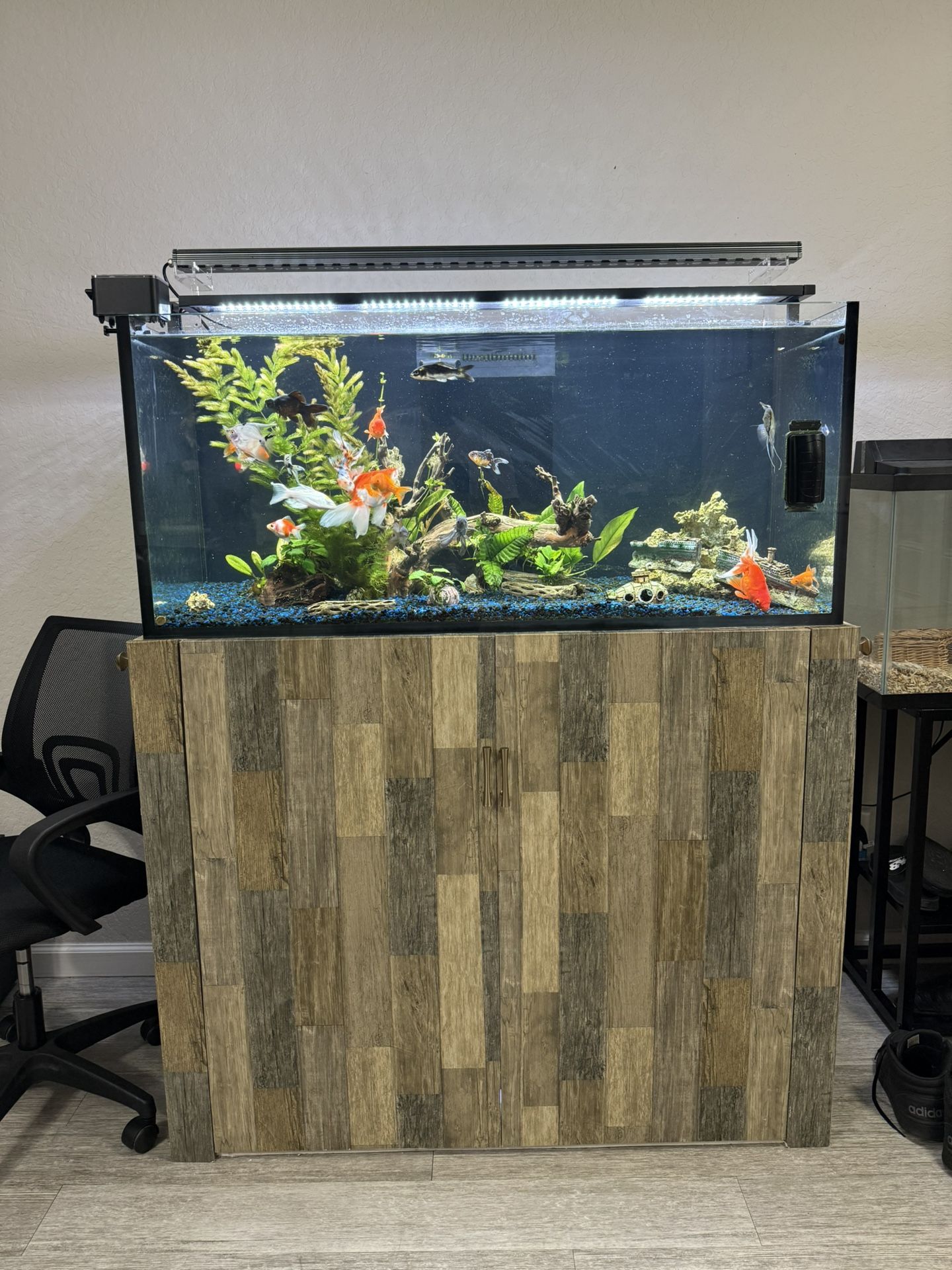 Aquarium 