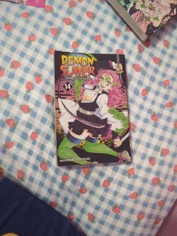 Demon Slayer Manga 14