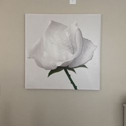 Canvas Wall Art