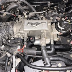 2004 Mustang GT Engine