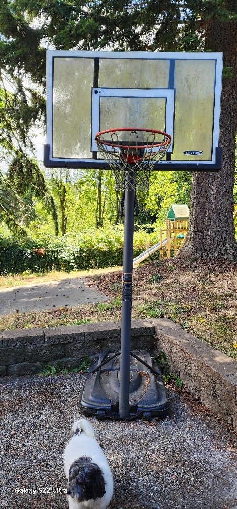LIFETIME - Professional Portable Basketball Hoop, Adjustable Height