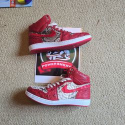 Customized Air Jordan PYTHON 
