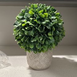 Faux Plant 
