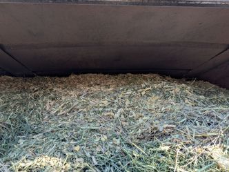 FREE WOOD CHIPS