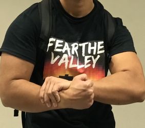 Phoenix Fear The Valley Tees