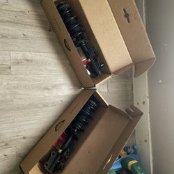 front Struts Springs 