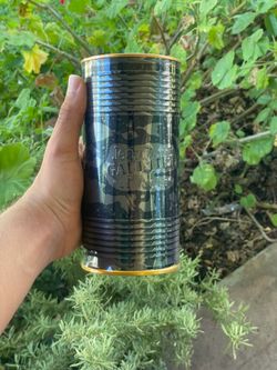 Cologne for guys