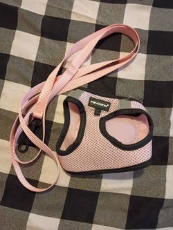cat or small dog harness