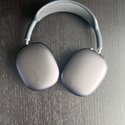 Apple AirPod Max With case