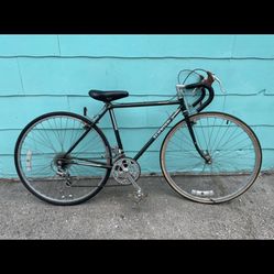 4 Adult Bike Lot Mountain Bike Beach Bike Road Bike