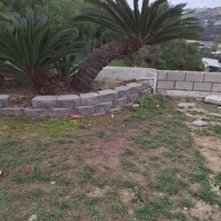 Stacked Bricks For Free 