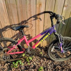 20" Girl's Nishiki Pueblo 20 Bicycle