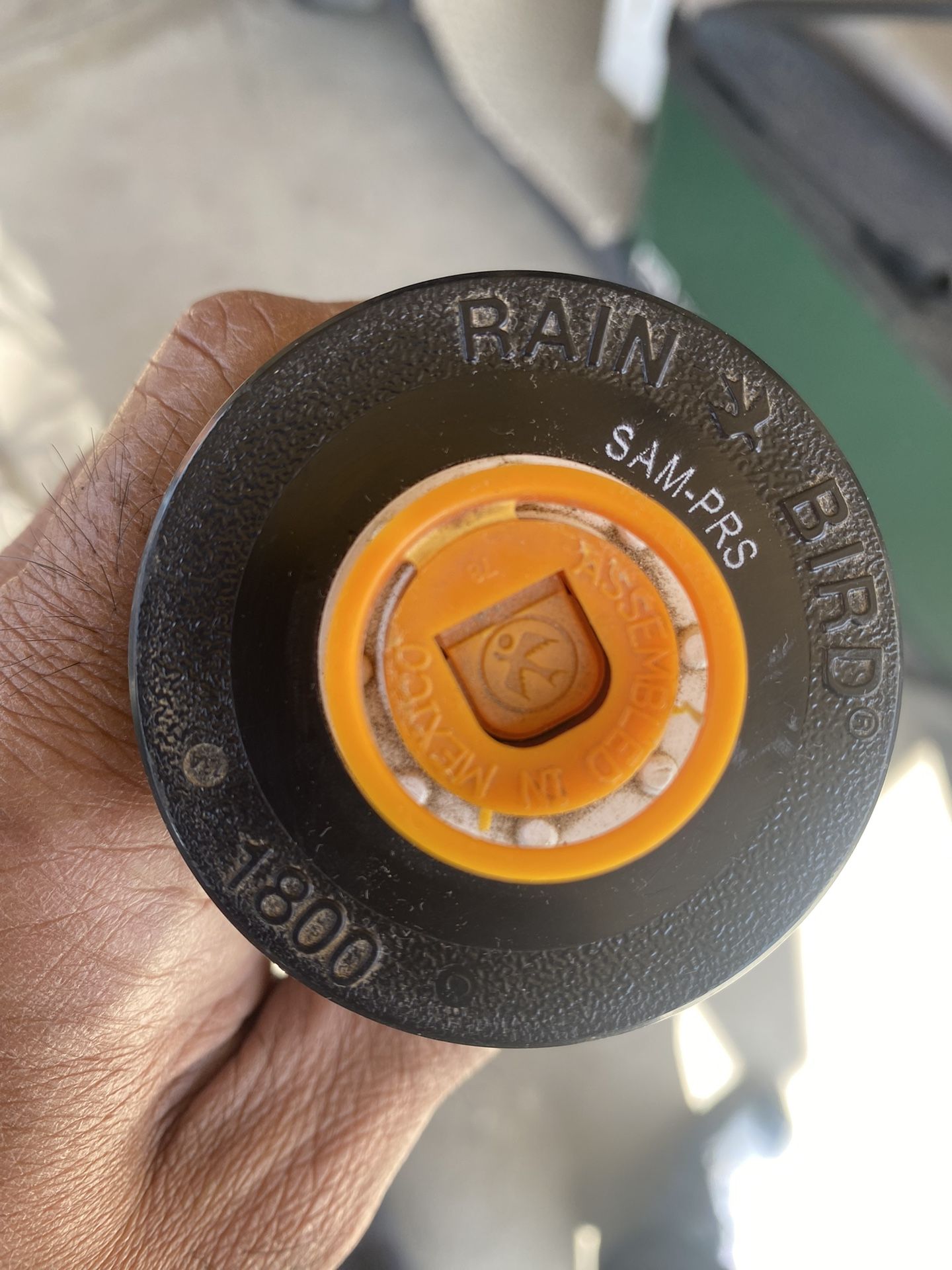 12” Pop Up Sprinkler Rain Bird