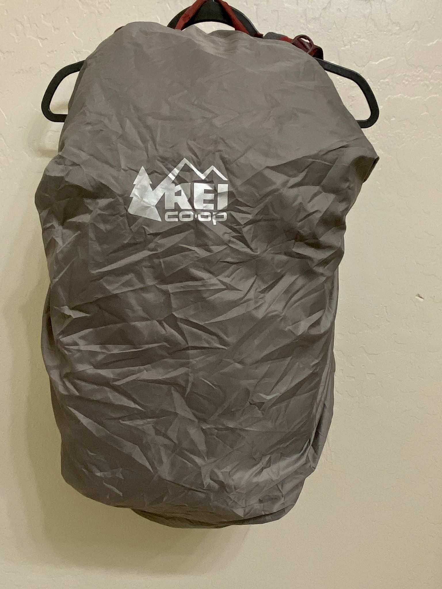 $100 REI Backpack
