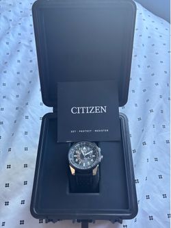 Citizen Promaster Watch