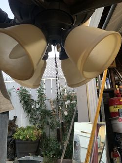 Ceiling Fan 