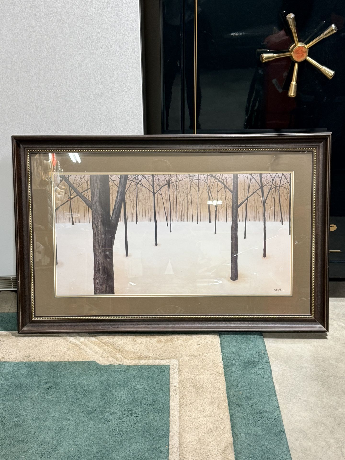 Framed wall art 28“ x 45”