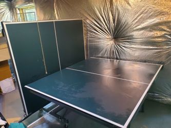 Ping pong table