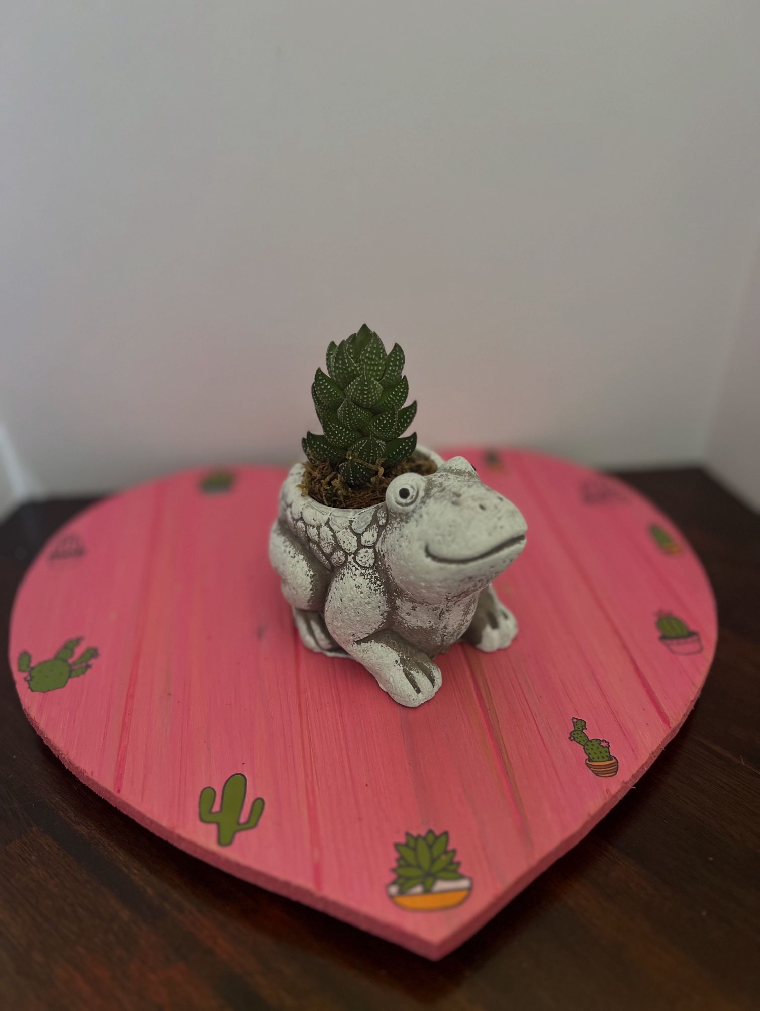 Frog Succulent