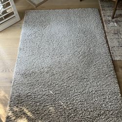 Crate & Barrel 4x6 area rug