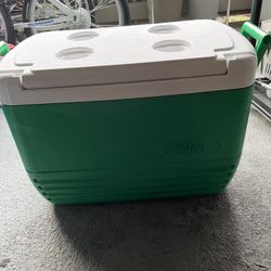 Igloo Cooler 
