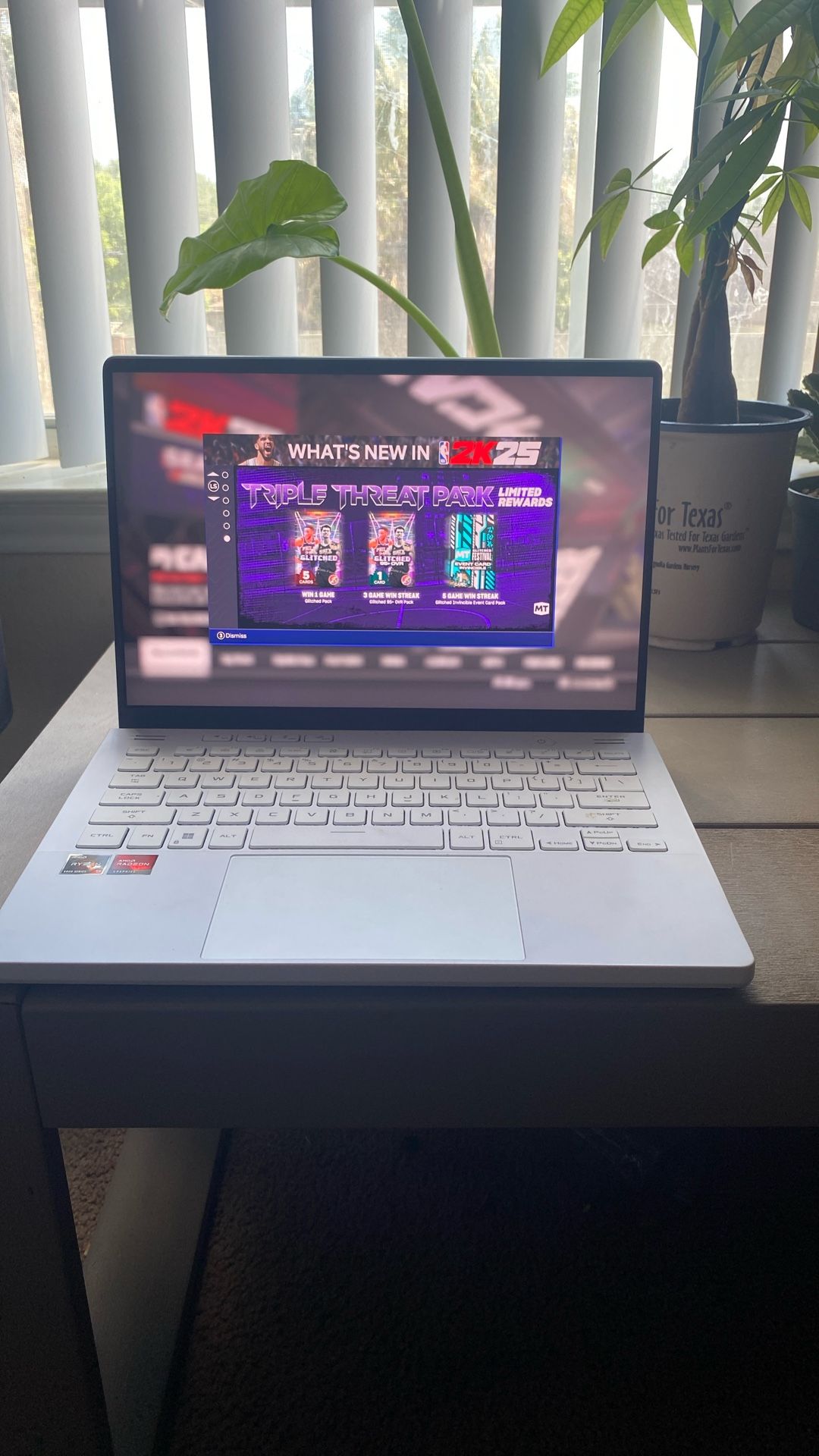 ROG ZEPHYRUS G14 Gaming Laptop