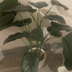 Fake Plant 