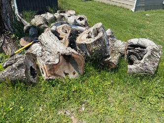 Wood Logs/Firewood