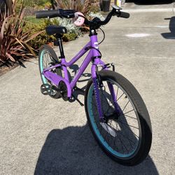 Guardian 20 Inch (low style) Kid’s Bike