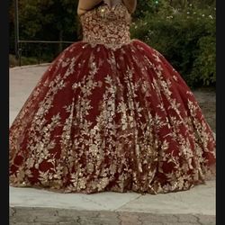 Quinceañera Dress $400
