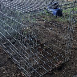 Large Dog Crate 
